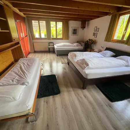 Relaxen Am Brienzersee Mit Terrassen Und Grill Apartment *