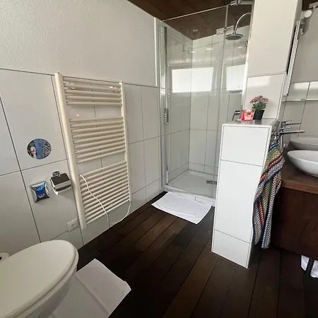 Relaxen Am Brienzersee Mit Terrassen Und Grill Apartment Brienz (Bern)