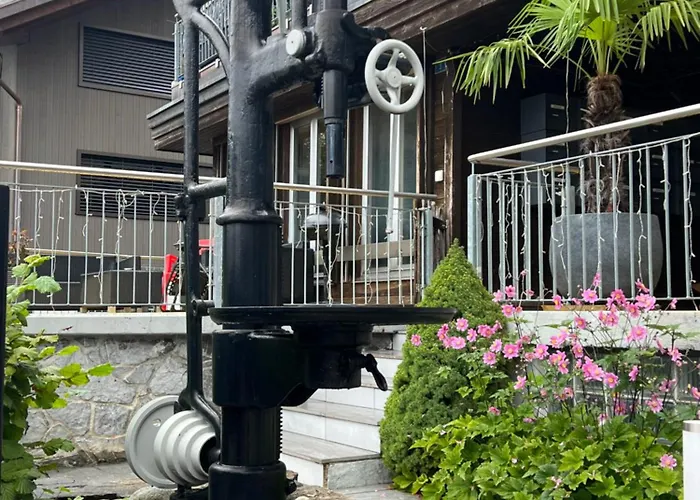 Relaxen Am Brienzersee Mit Terrassen Und Grill *