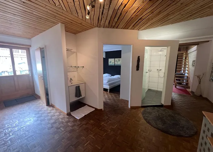 Relaxen Am Brienzersee Mit Terrassen Und Grill * Brienz (Bern)