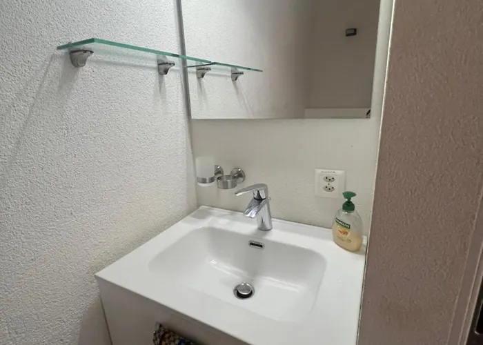 Apartment Relaxen Am Brienzersee Mit Terrassen Und Grill Brienz (Bern)