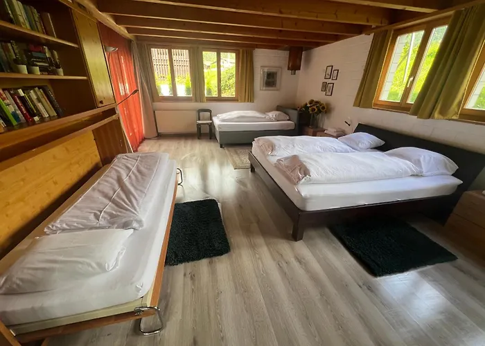 Relaxen Am Brienzersee Mit Terrassen Und Grill Lägenhet *